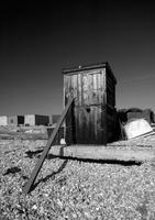0226 Dungeness