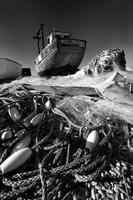 0251 Dungeness