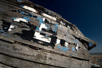 0254 Dungeness