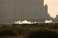 0371 Dungeness