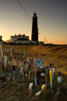 0395 The Paintbrush Garden, Dungeness