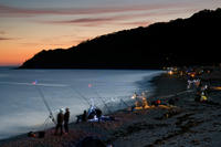 2415 Lyme Regis