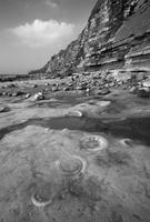 2445 The Ammonite Graveyard