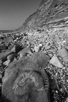 2470 Monmouth Beach, Lyme Regis