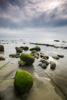 2672 Monmouth Beach, Lyme Regis