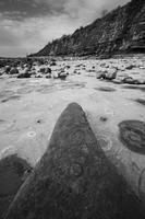 2679 The 'Ammonite Graveyard', Lyme Regis