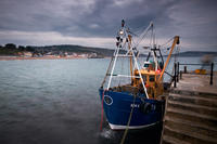 2734 Landing Scallops, Lyme Regis