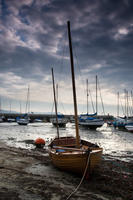 2836 Lyme Regis Dawn