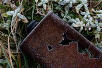 3941 Rust and Frost, Dungeness