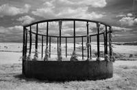 0061 Sheep Feeder, South Downs