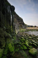 0749 Kimmeridge